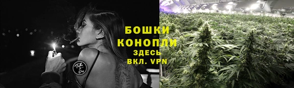 меф Богородицк