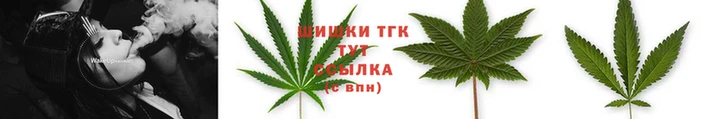стаф Беломорск