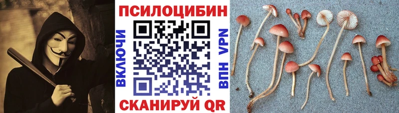 Псилоцибиновые грибы мухоморы  купить наркоту  ОМГ ОМГ зеркало  Няндома 